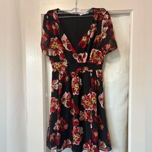 Madewell Floral Black and Red Dress